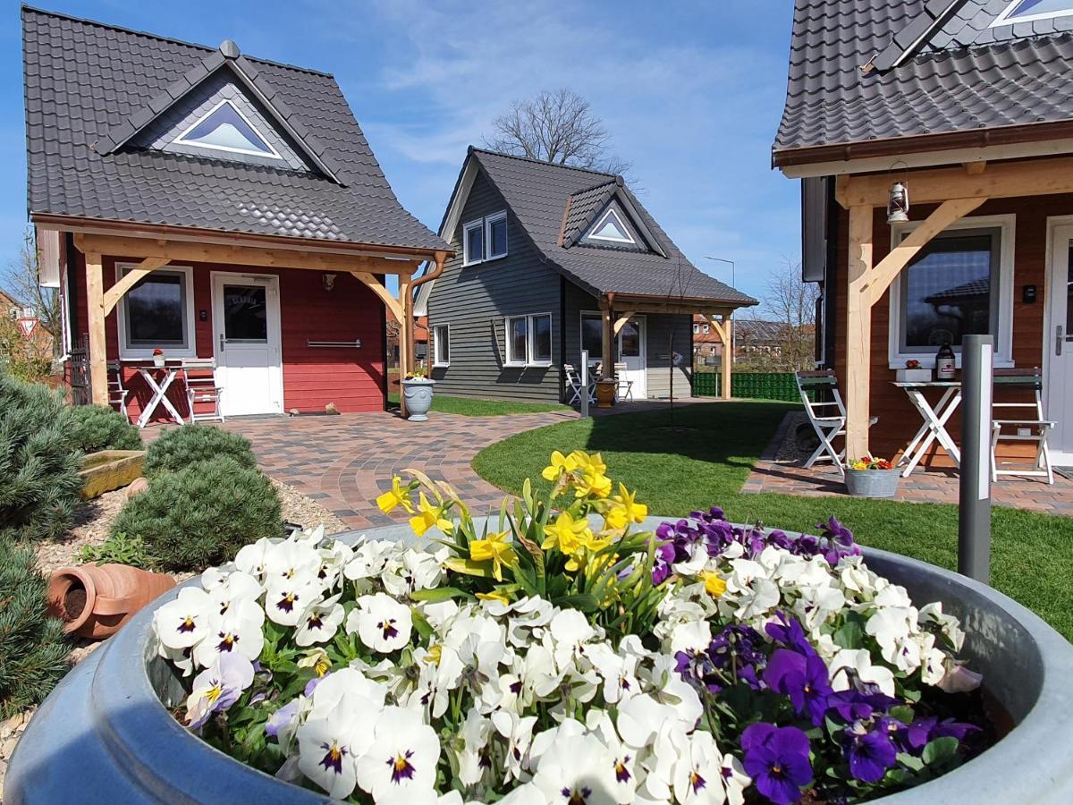 Tiny Haus Dorf Wendland Villa Gartow ภายนอก รูปภาพ